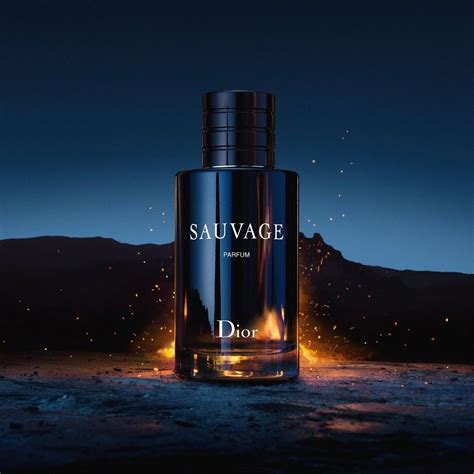 sauvage cologne kohl's|kohl's fragrance ingredients.